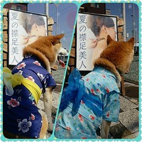 七夕祭り