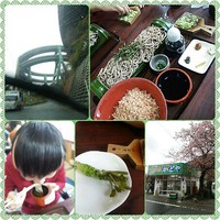 河津ドキドキドライブ