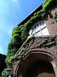 立教大学