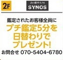 本日の広告～♪