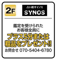本日の広告～♪☆