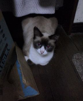 ７年前。