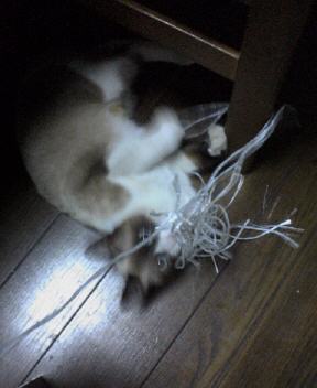７年前。