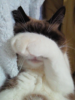 目隠し。