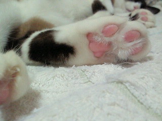 ハート　その１。