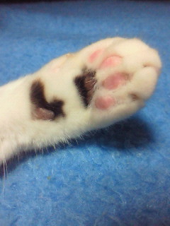 ハート　その２。