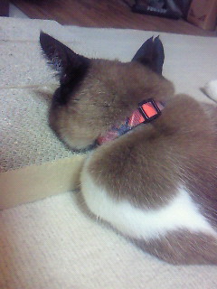 間違った使い方。