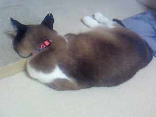 間違った使い方。