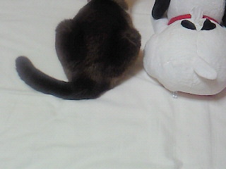 なかよし！？