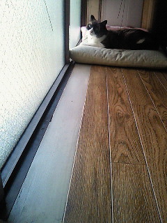 たそがれる。