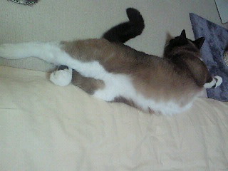 のび～る。