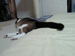 やっぱ、長い。