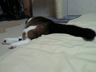 やっぱ、長い。
