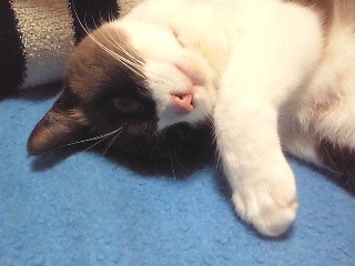 ばれちゃった。
