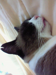 〇〇に注目！！
