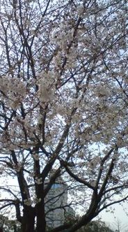 久し振り