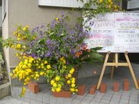 最後の参加