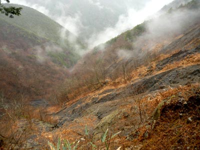 雨の二王山～込岳バリエーション