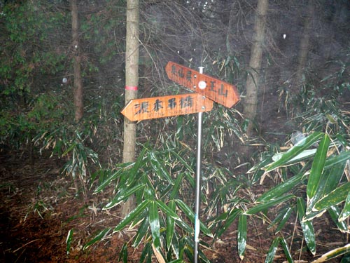 雨の二王山～込岳バリエーション