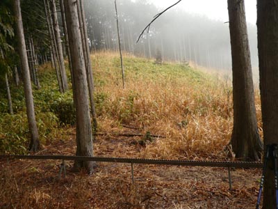 雨の二王山～込岳バリエーション