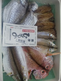 じ〜さんから教わった伝統自家製天日干し