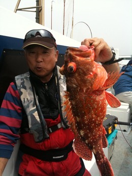 ５月３日(火)の釣果