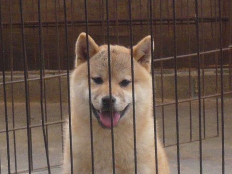 可愛いね！かおるちゃん