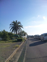 青空市はじまるよ