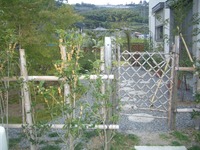 １０月･･秋の薬膳料理