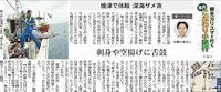 静岡新聞に・・・「焼津で体験　深海ザメ漁」