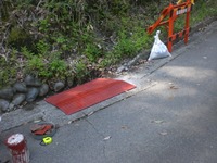 山の中