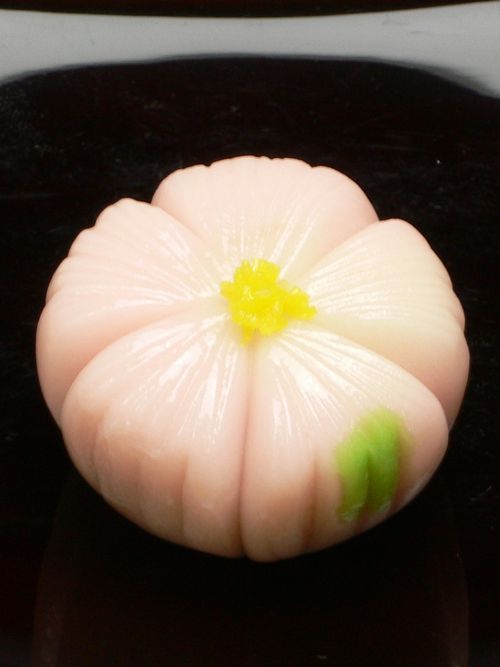 上生菓子｢撫子｣