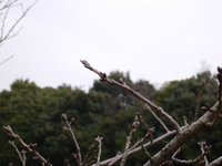 清見潟運動公園