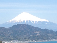 ご無沙汰してしまいました