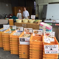 しずまえ餃子