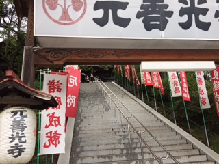 晴れました