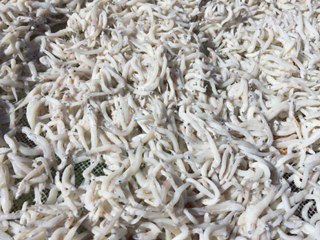 まだ柔らかいちりめん干しの素