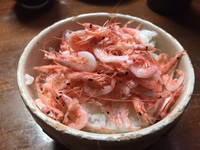 釜えびご飯