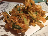 鰹
