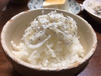 しらすを茹でた翌日