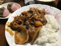 春のカレーライス