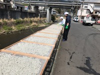 釜揚げしらす