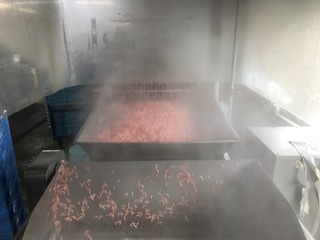 桜えびの釜茹で風景