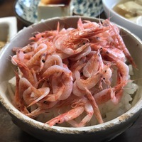 我が家の定番