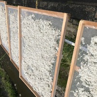 しらす・桜えび