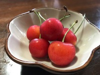さくらんぼ