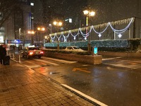 名古屋は雪でした