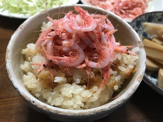 釜えびご飯