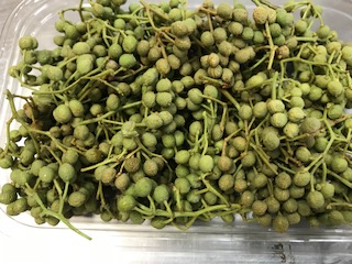 山椒の実