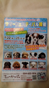 愛犬イベント　ドックランデビューしませんか？!(^^)!
